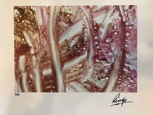 OCTOPUSES GARDEN - SIGNED BY RINGO