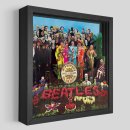 SGT. PEPPER SHADOWBOX ART