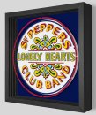 SGT. PEPPER DRUM SHADOWBOX ART